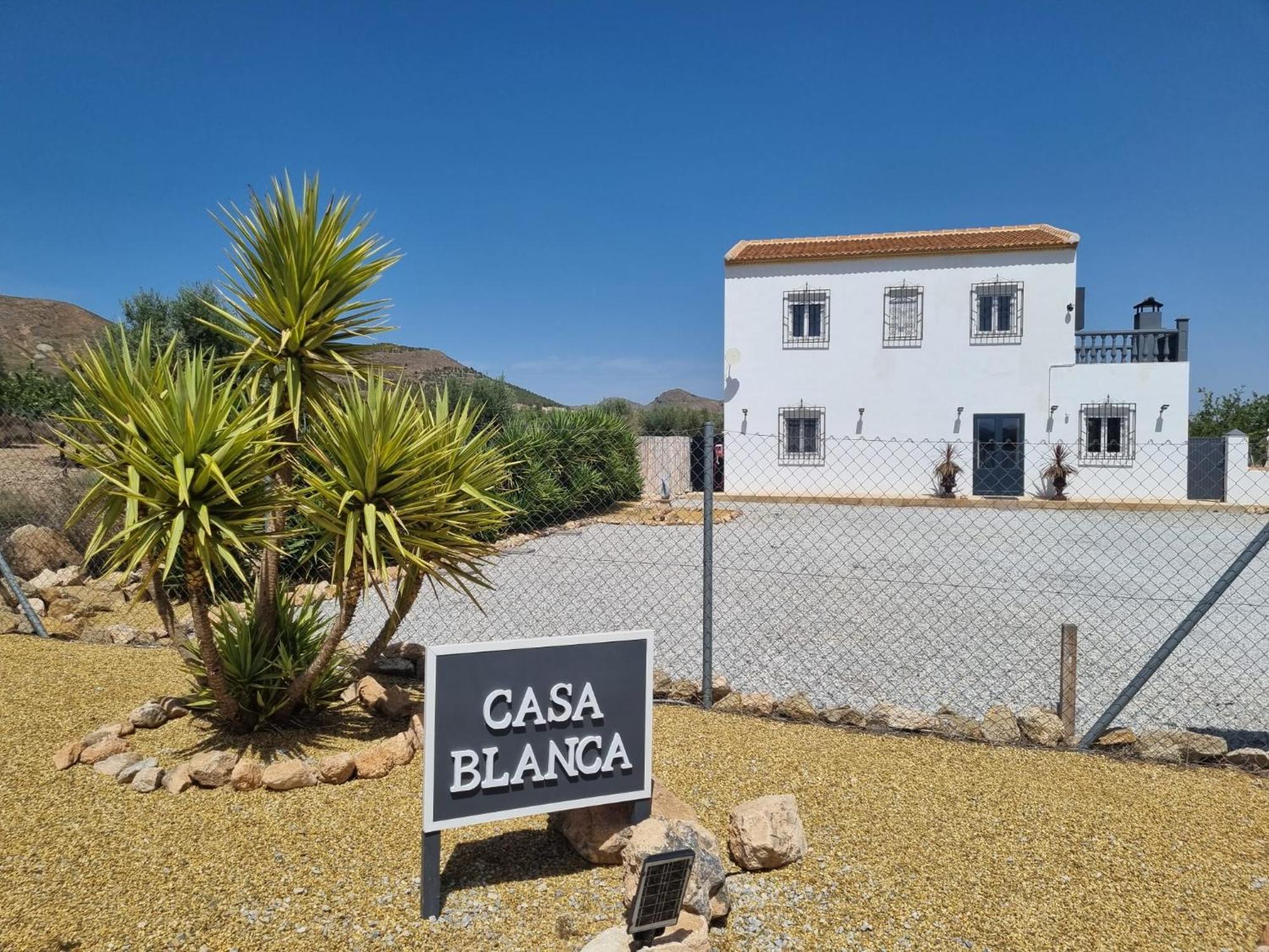 Casa Blanca