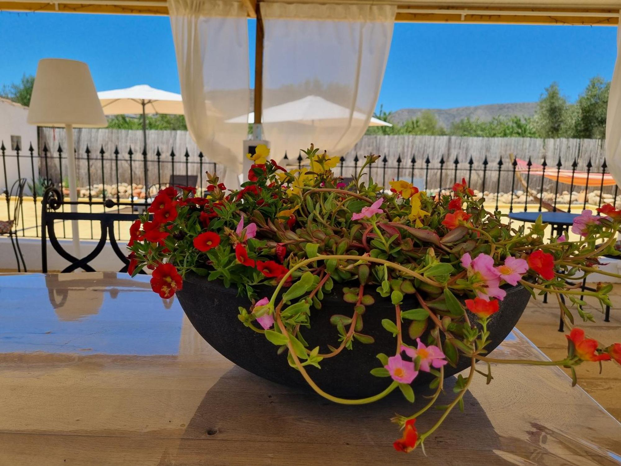 Casa Blanca Couette-café